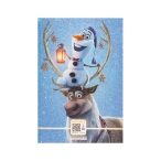 دفتر 60 برگ خطی کارتی